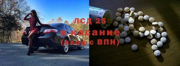 прущие грибы Алексеевка